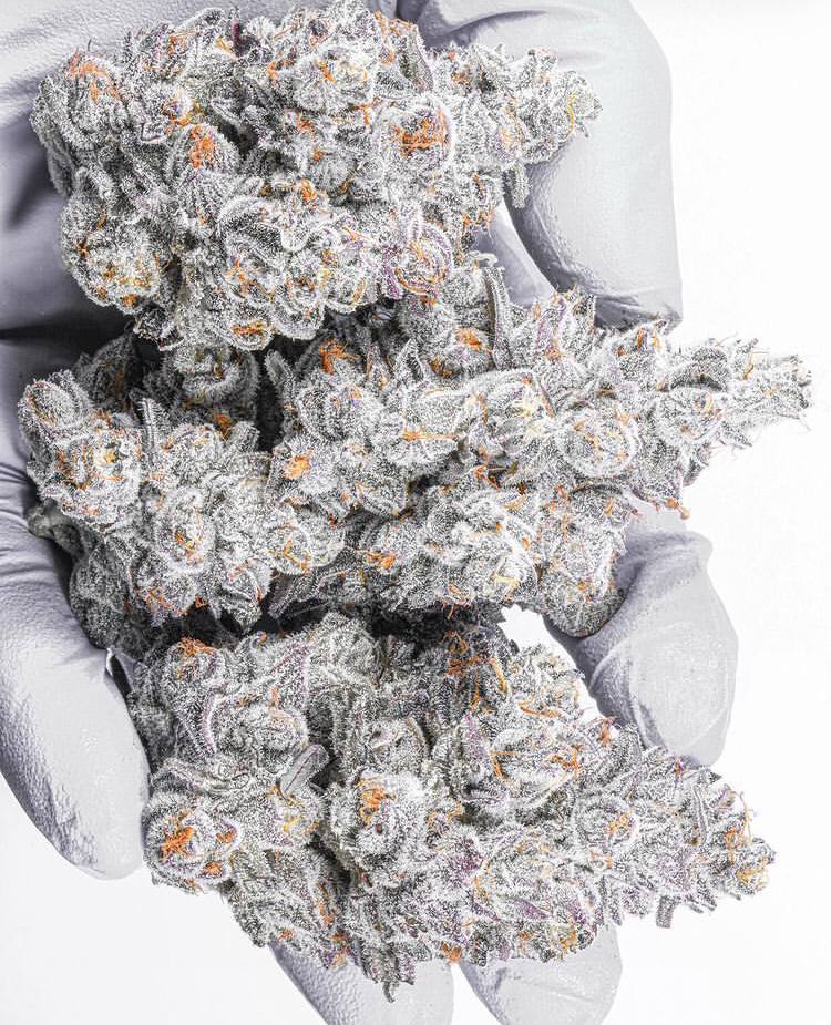 photo_5848102396394322385_y