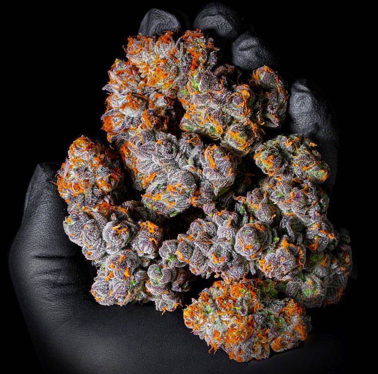 photo_5848102396394322419_x (1)