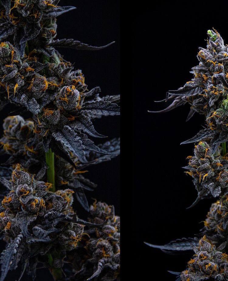 photo_5915532103041268037_y