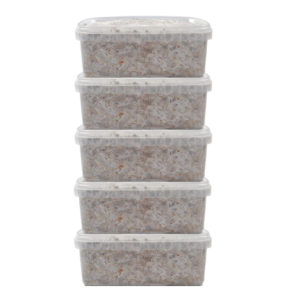 5 Magic Mushroom Grow Kit Discount Pack Mondo