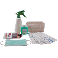 Buy Fresh beginner Mushroom grow kit
