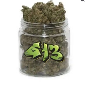 Buy G13